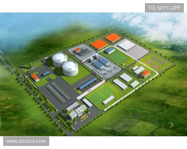 城市赛分析：LNG在比赛中的战术意识与团队配合表现评析