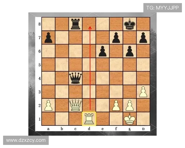 广州排球队节奏打法深度解析与战术优势剖析